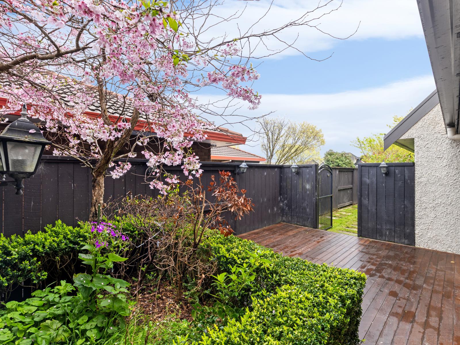 113 John F Kennedy Drive, Milson
