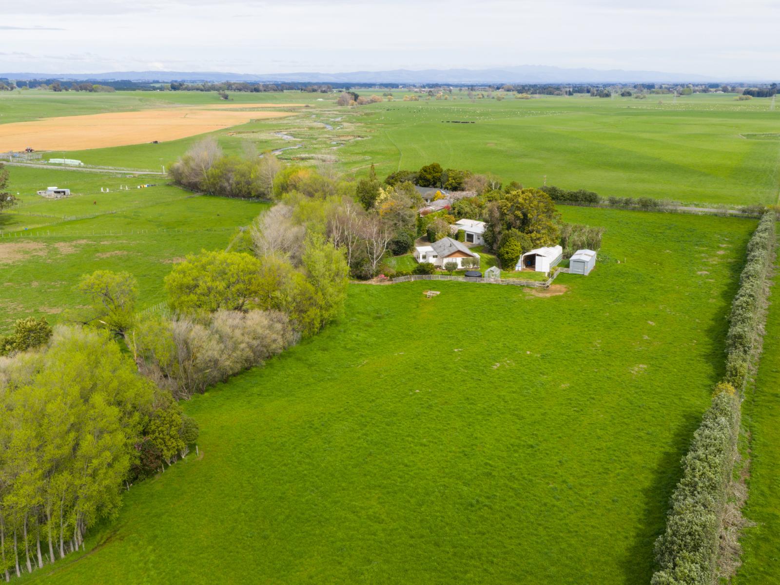 260 Haynes Line, Feilding