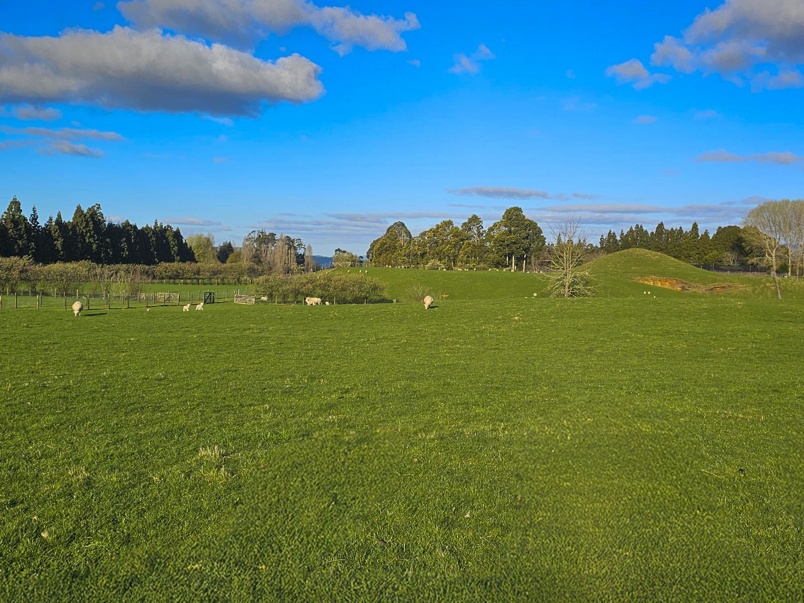 94 Oturoa Road, Hamurana