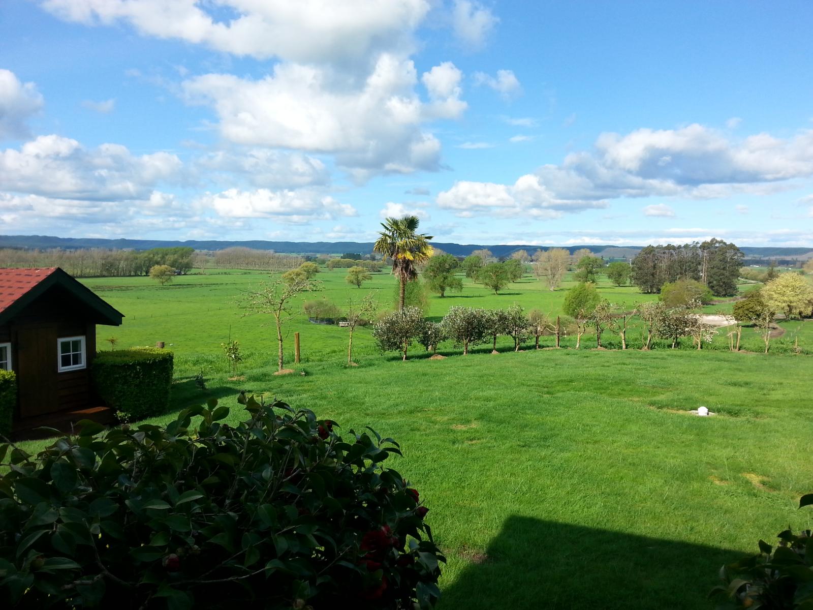 3553A State Highway 5, Reporoa