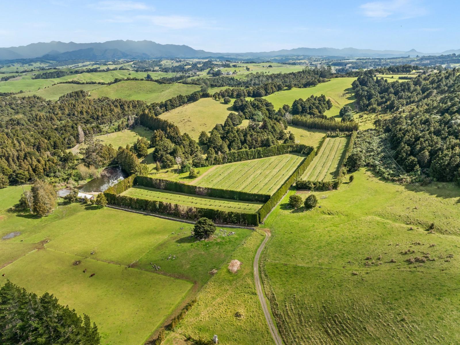 39 Elmsley Road, Maungatapere