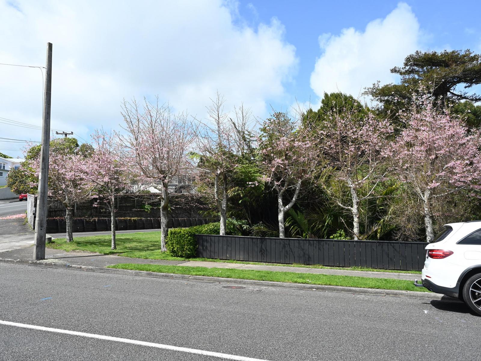 72 Gilbert Street, New Plymouth