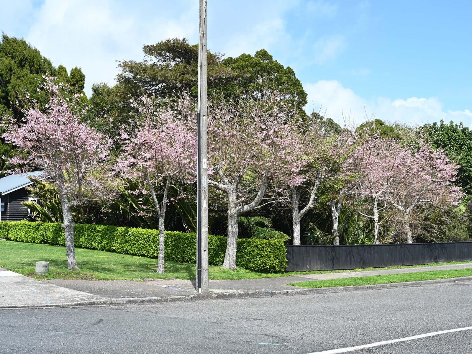 72 Gilbert Street, New Plymouth