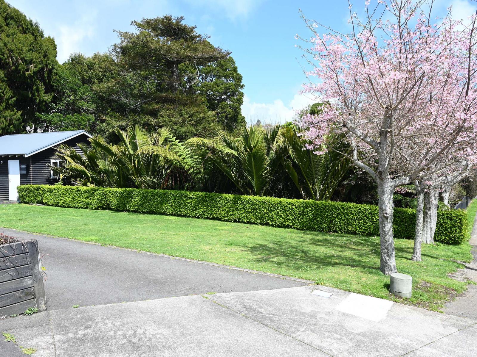 72 Gilbert Street, New Plymouth