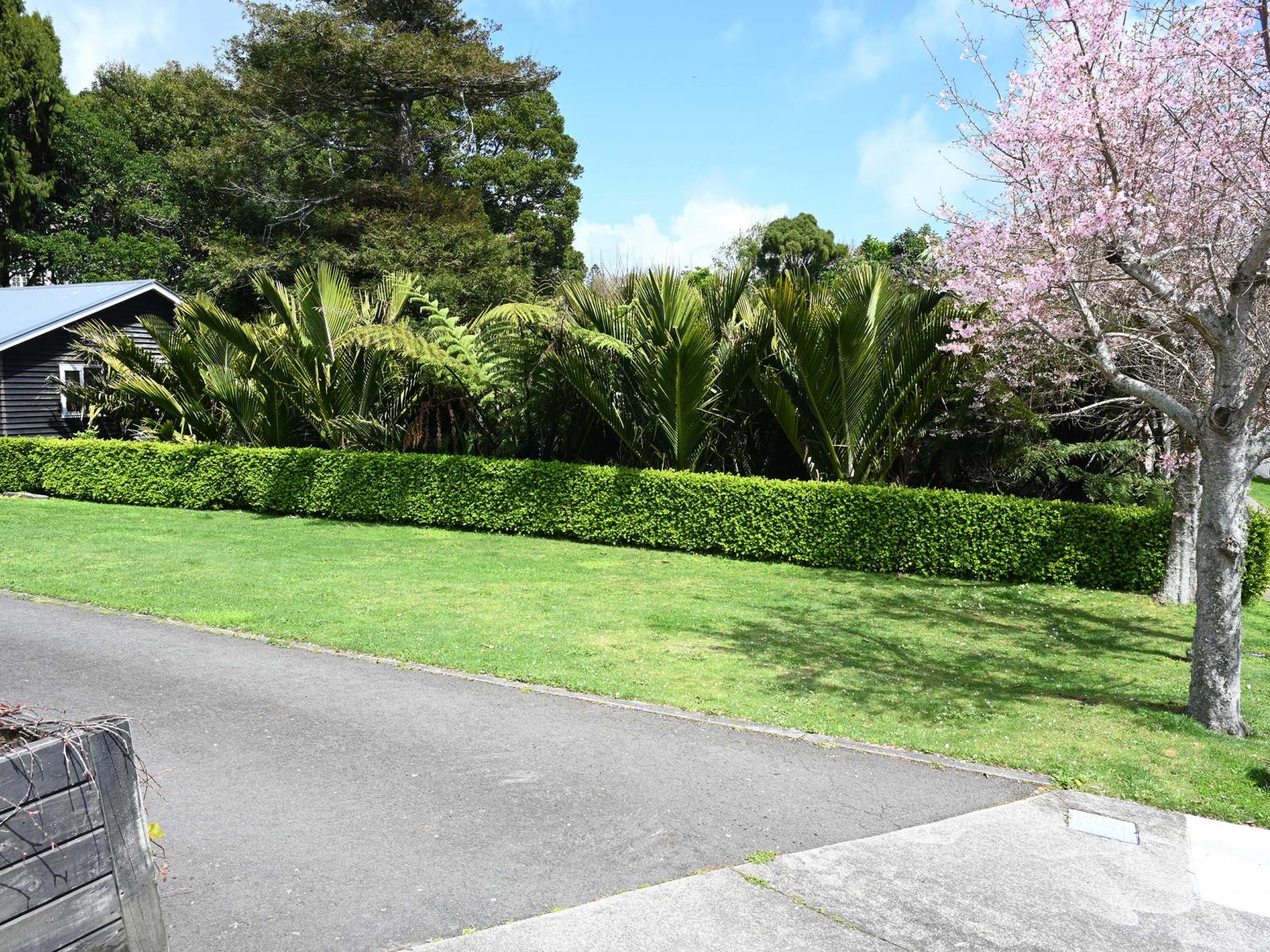 72 Gilbert Street, New Plymouth