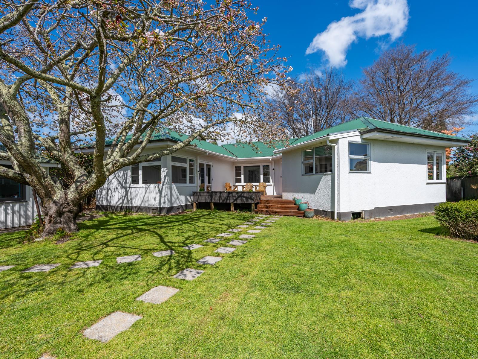 1001 Rata Street, Mahora
