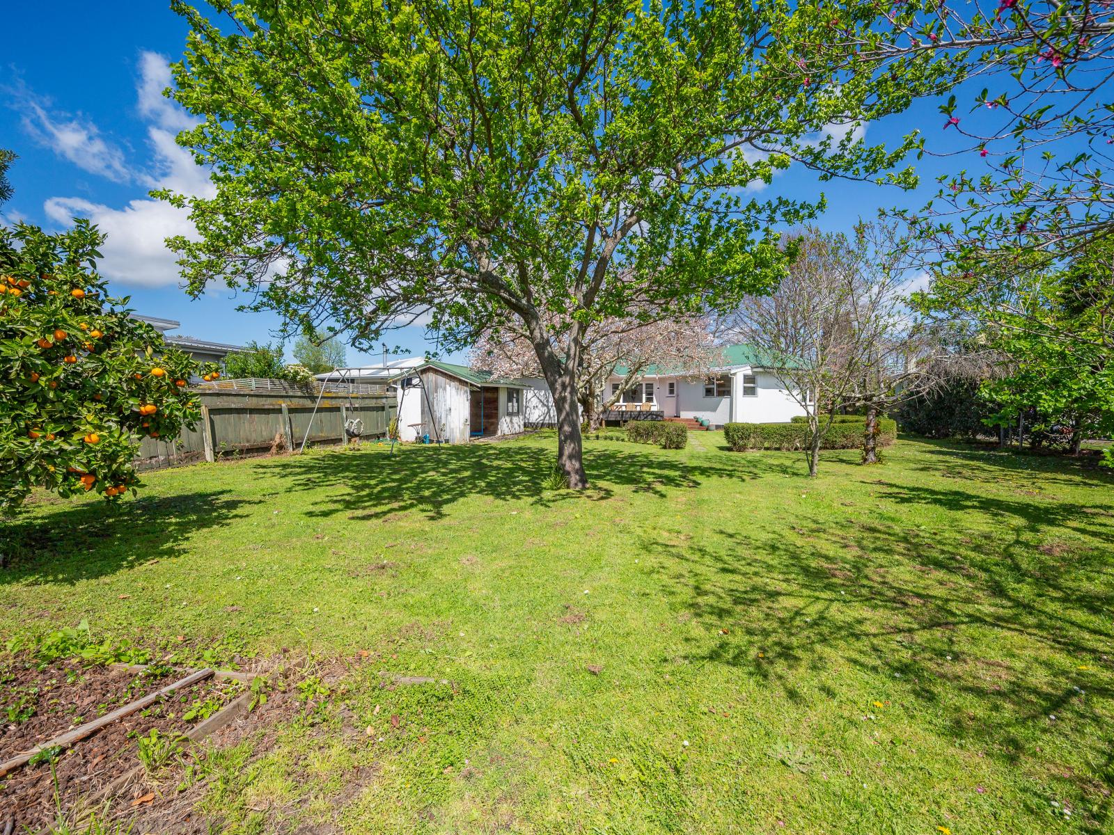 1001 Rata Street, Mahora