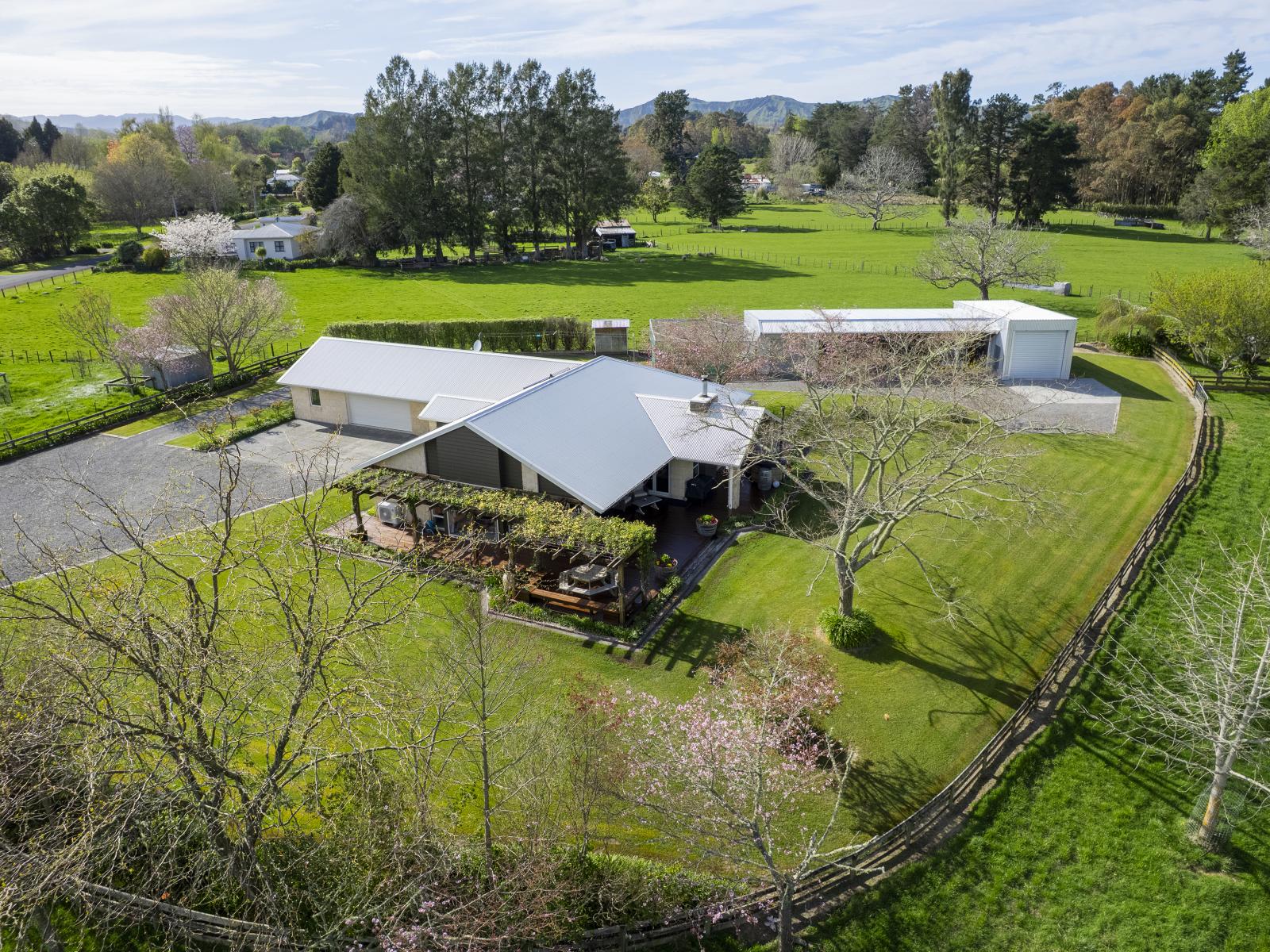 6 Bracken Street, Frasertown