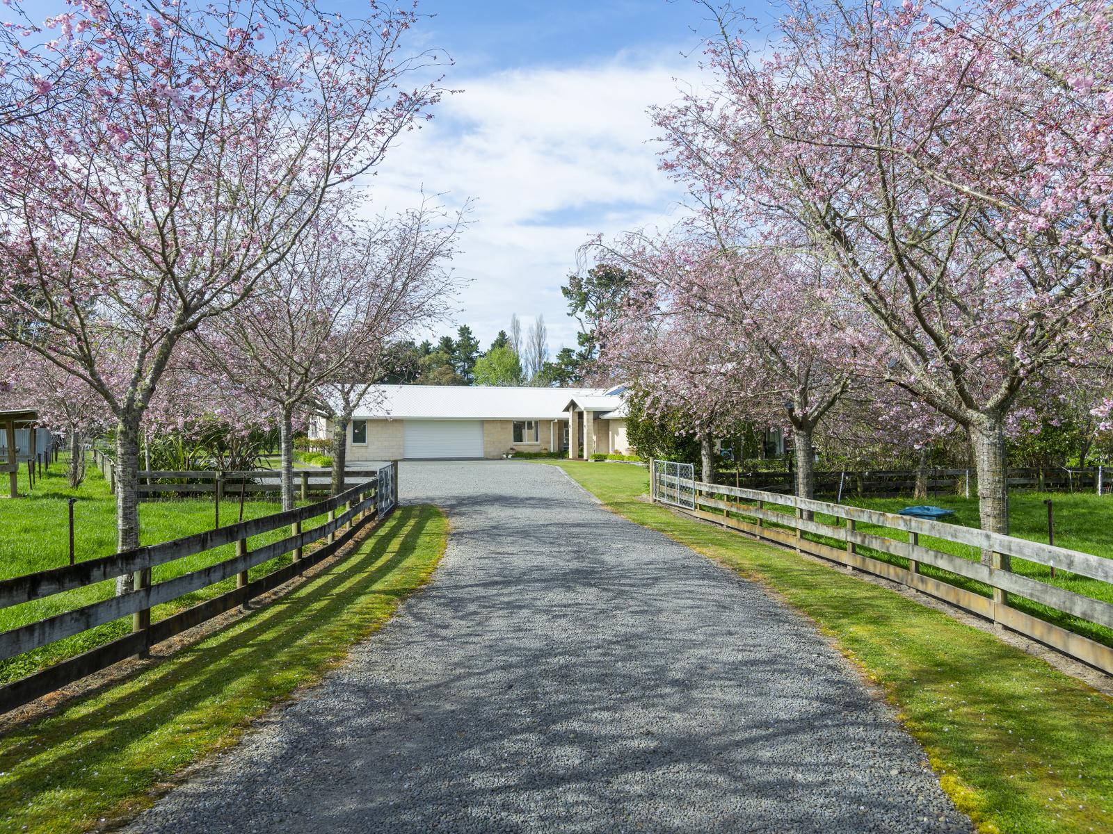6 Bracken Street, Frasertown