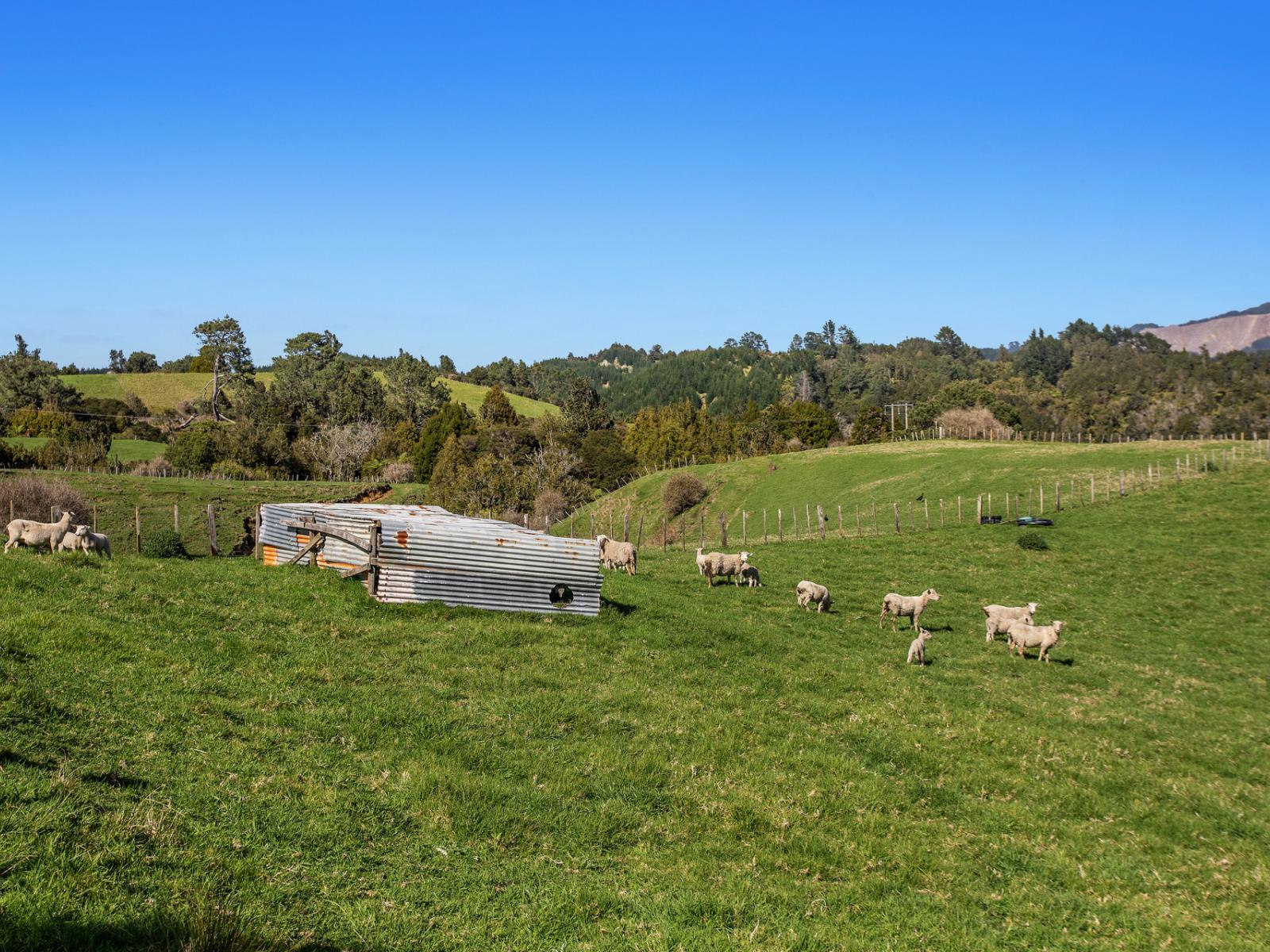 247B Stanley Road, Whakatane
