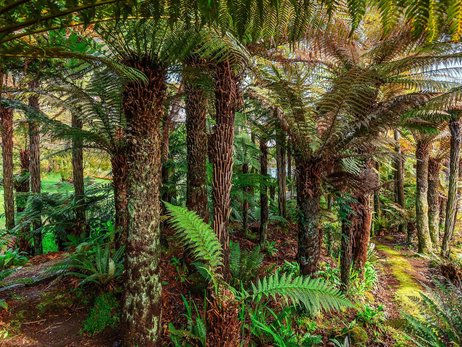 137 Otapouri Road, Owhango