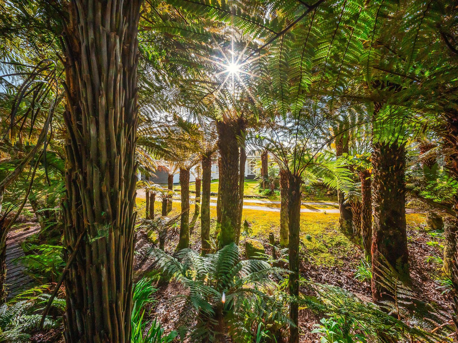 137 Otapouri Road, Owhango