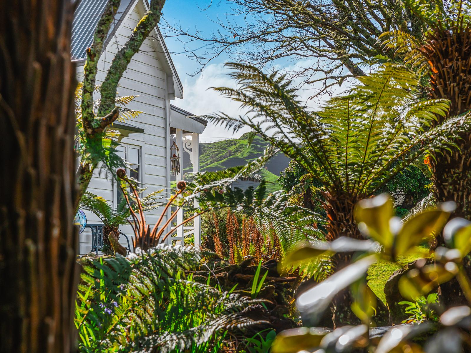 137 Otapouri Road, Owhango