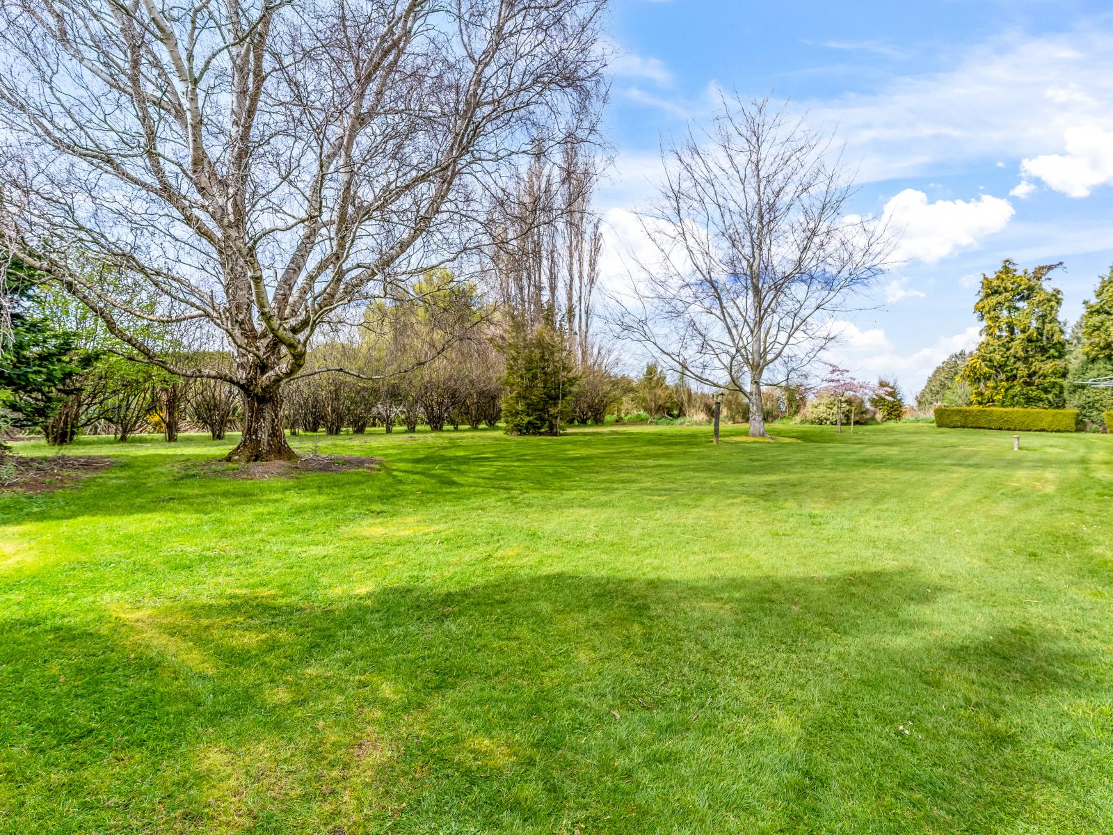 266 Winton Hedgehope Highway, Winton