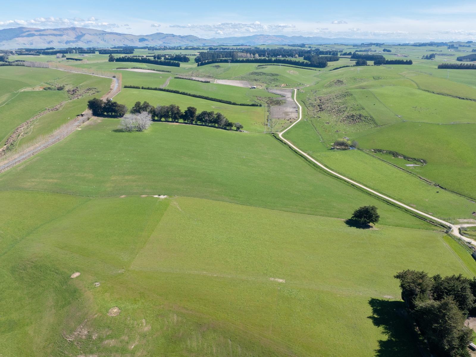 509 Waikaka Road, Maitland