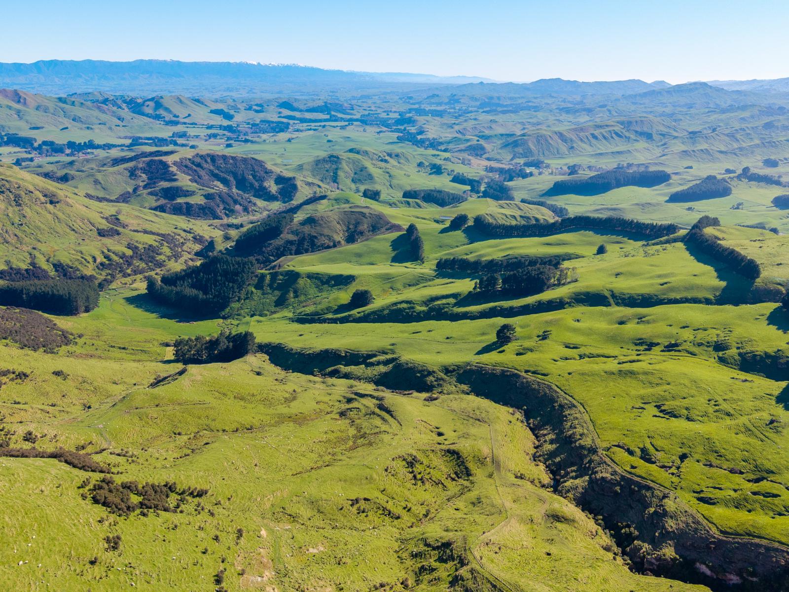 467 Waitahora Valley Road, Dannevirke