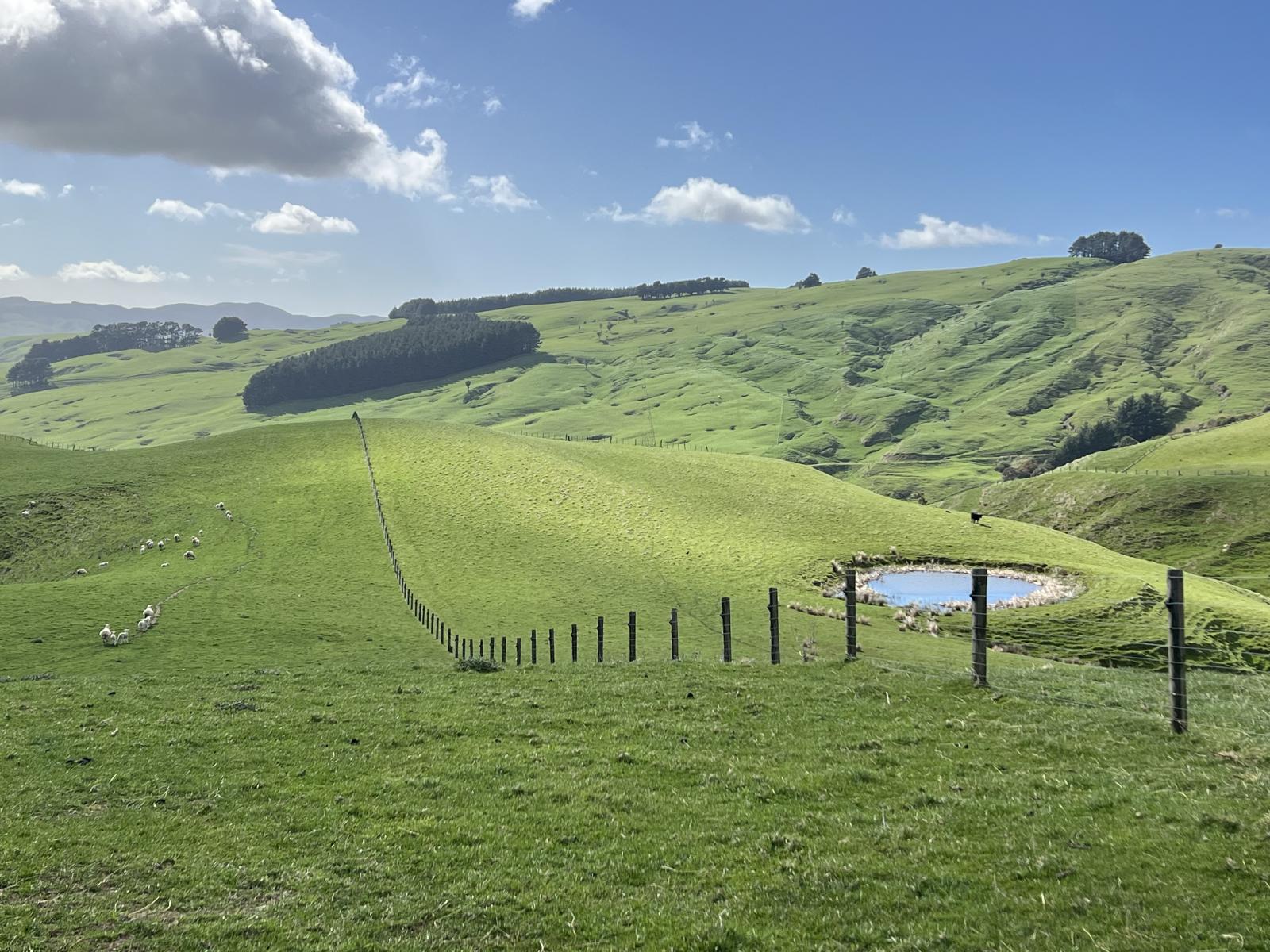 467 Waitahora Valley Road, Dannevirke