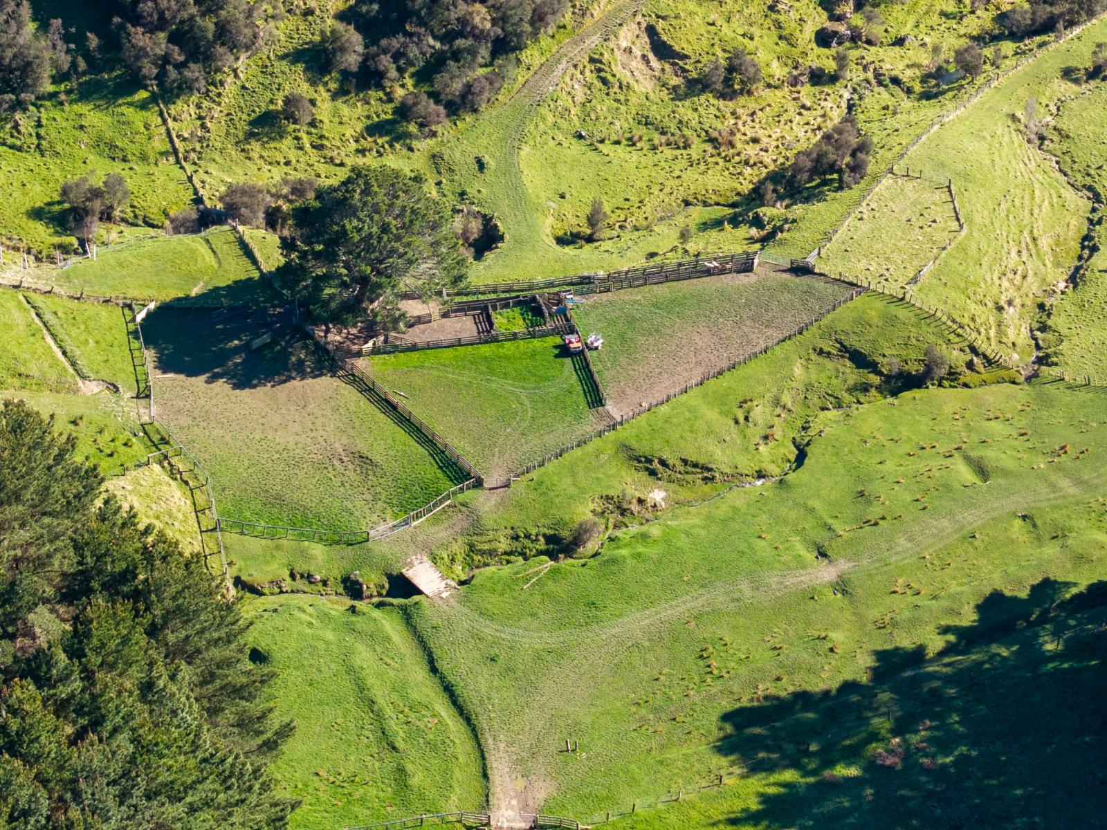 467 Waitahora Valley Road, Dannevirke