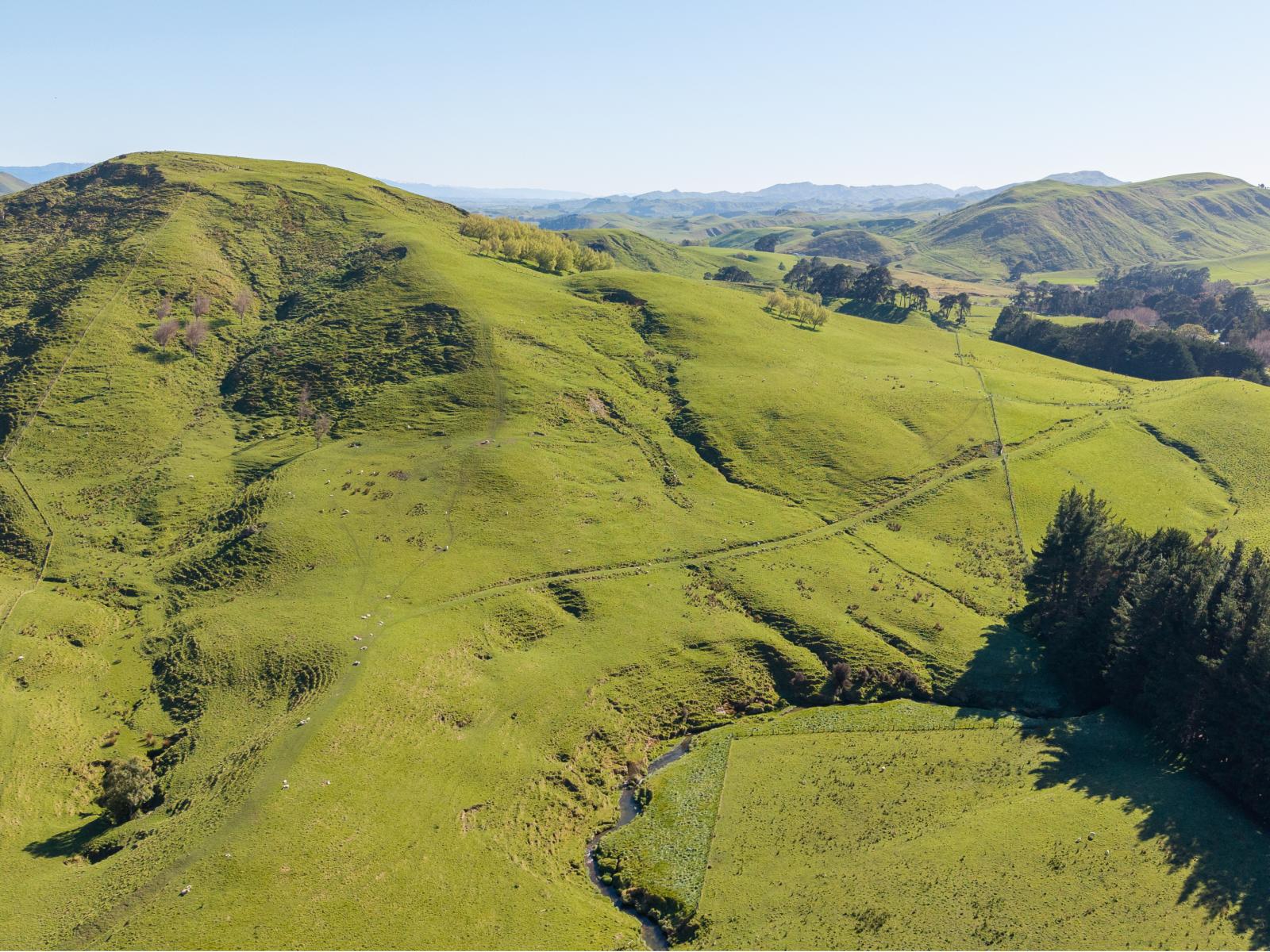 467 Waitahora Valley Road, Dannevirke