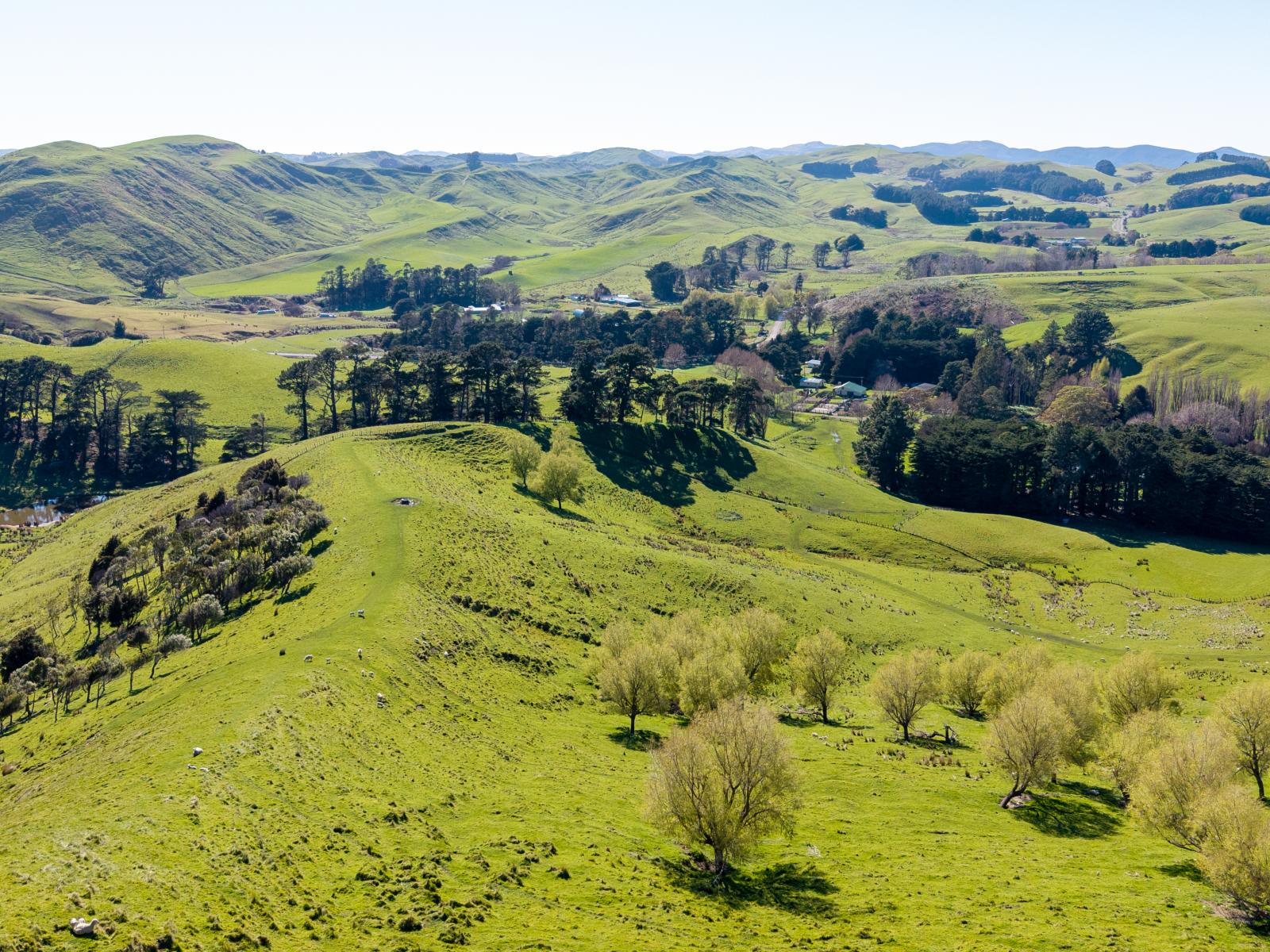 467 Waitahora Valley Road, Dannevirke