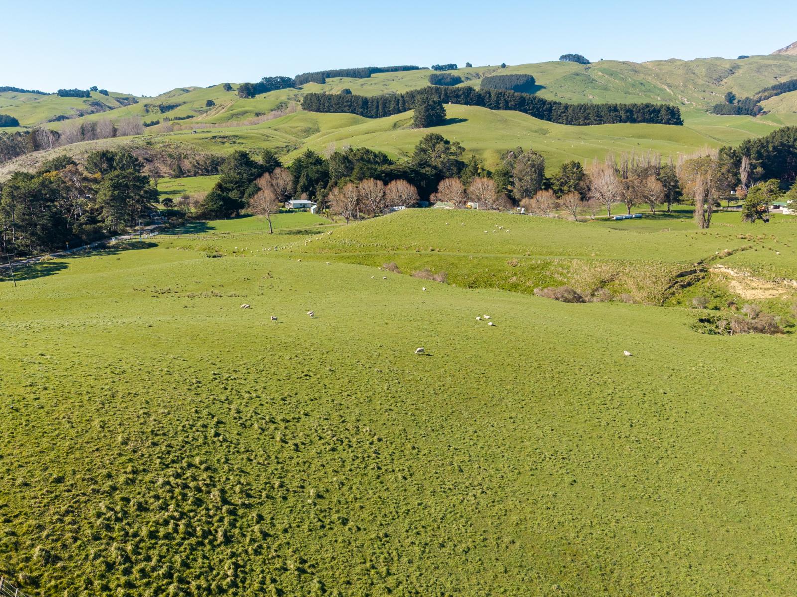 467 Waitahora Valley Road, Dannevirke