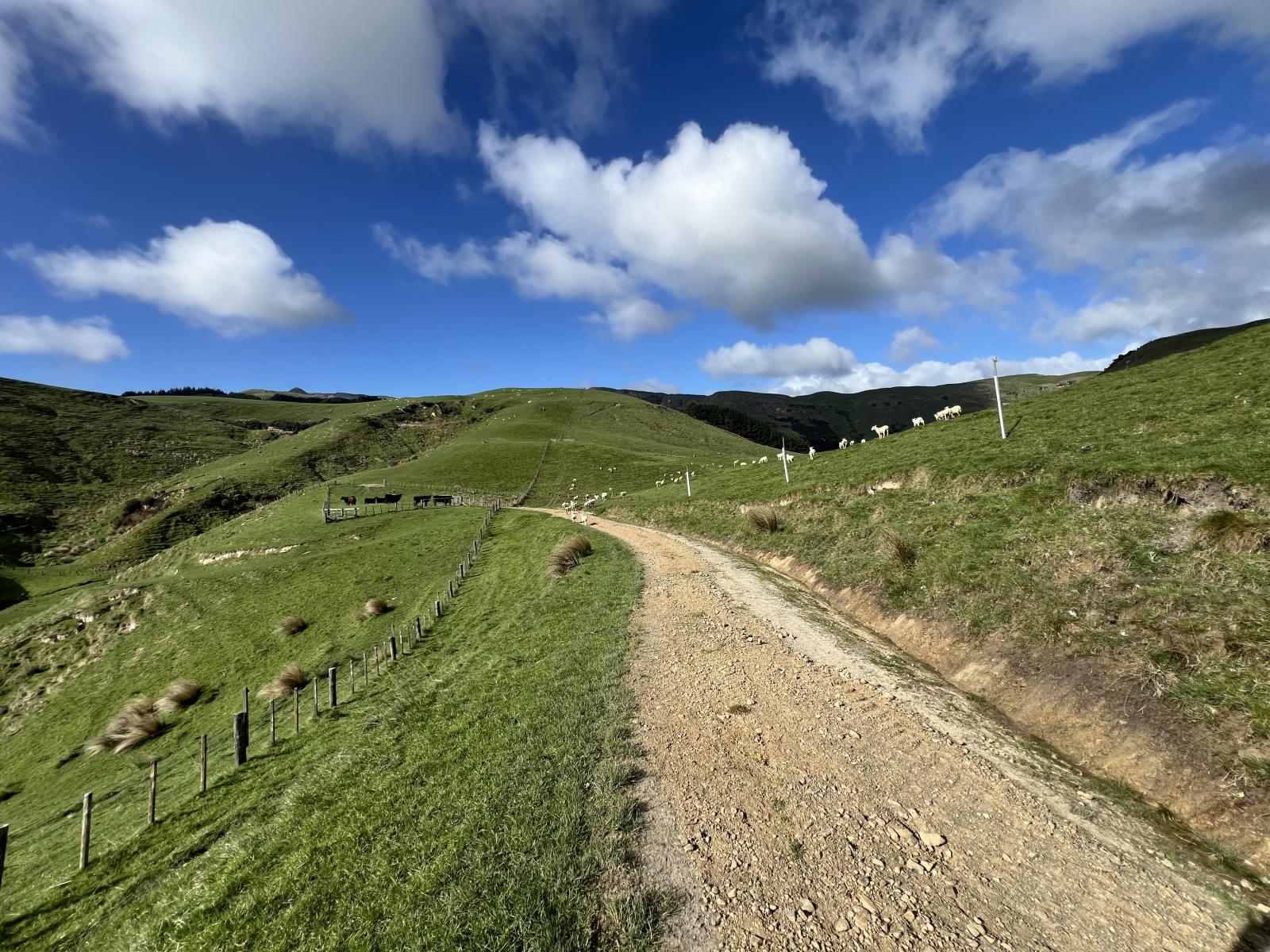 467 Waitahora Valley Road, Dannevirke