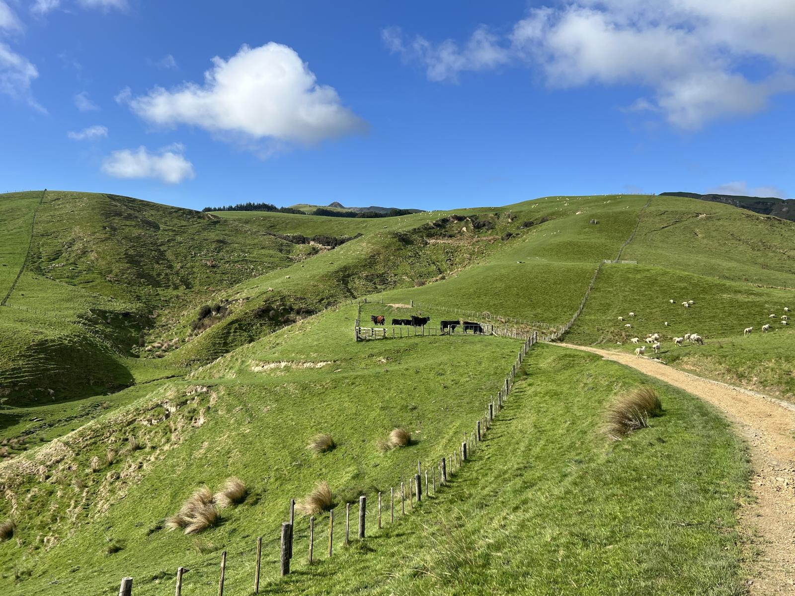 467 Waitahora Valley Road, Dannevirke