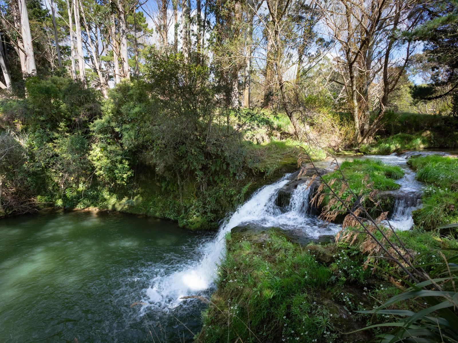 467 Waitahora Valley Road, Dannevirke