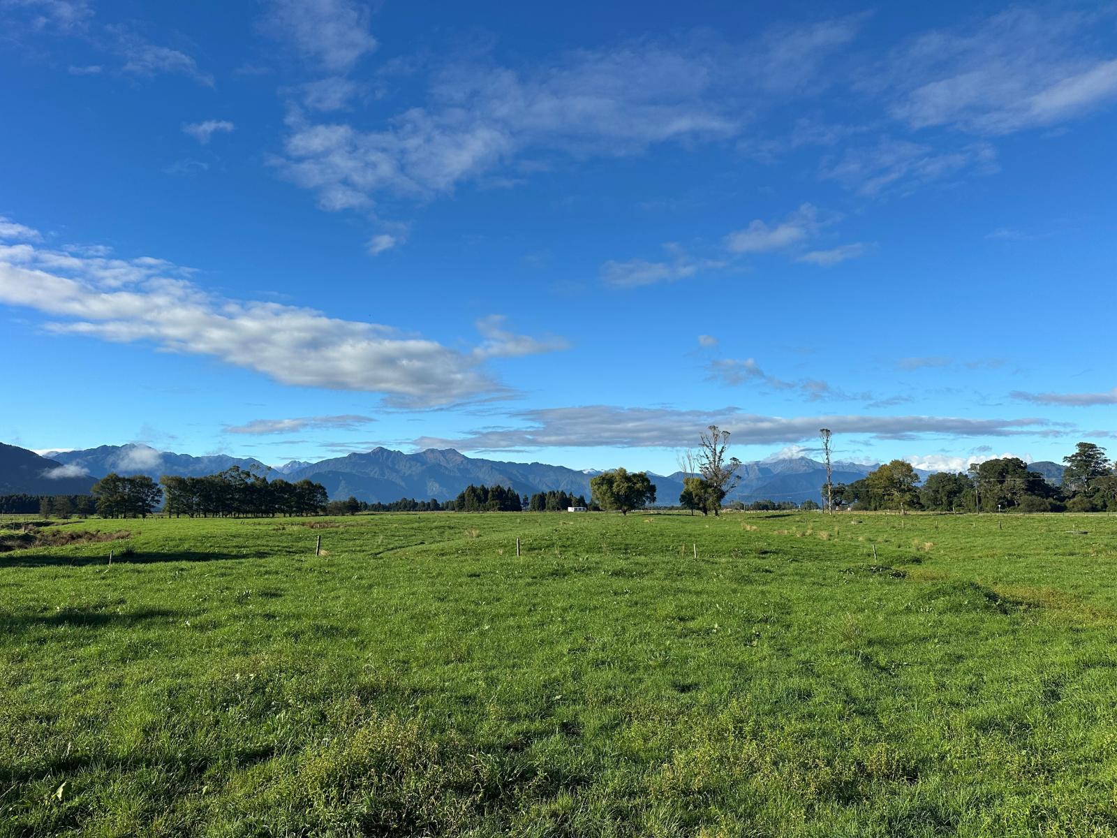 667 Kaniere-Kowhitirangi Road, Kokatahi
