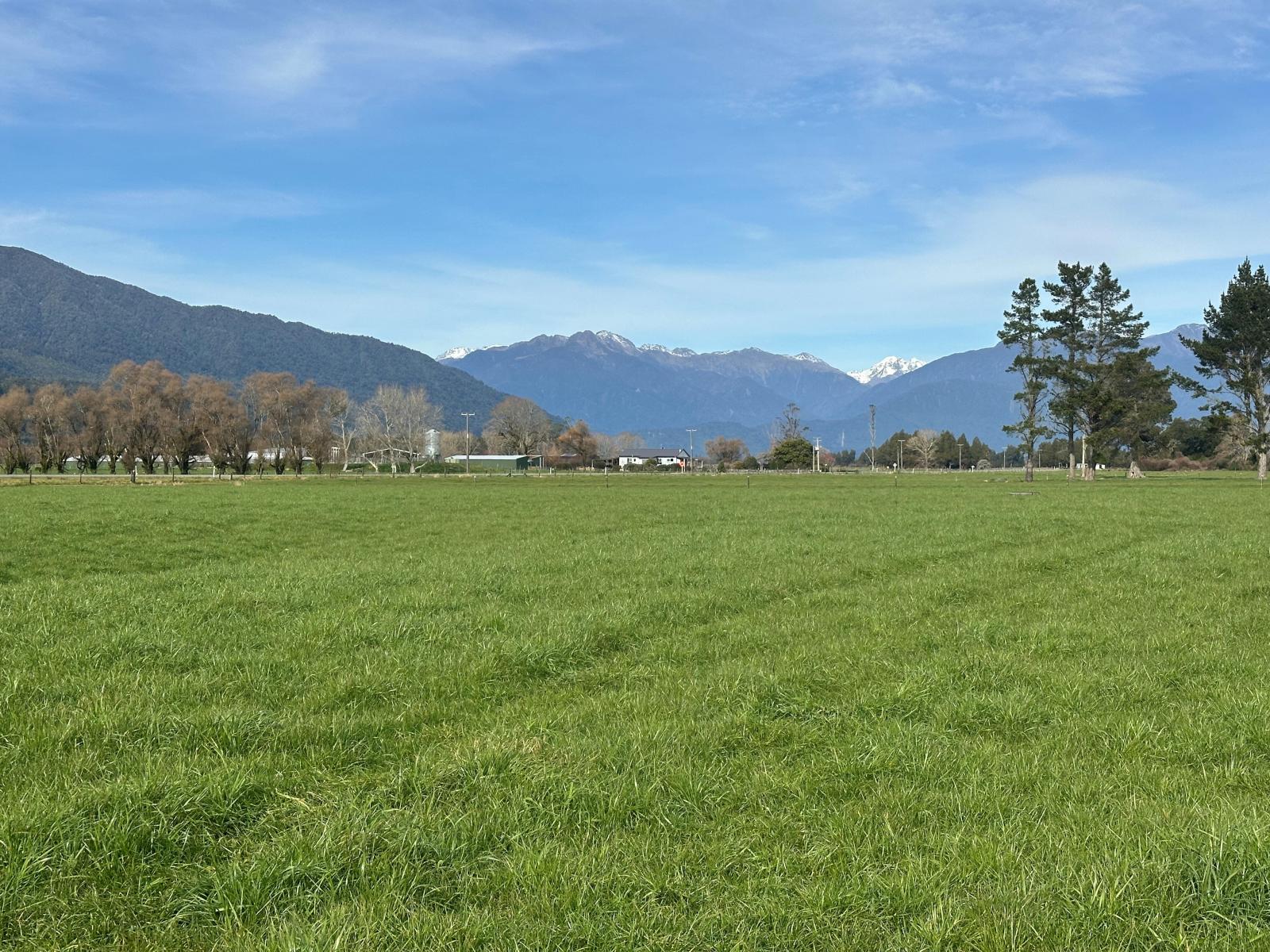 667 Kaniere-Kowhitirangi Road, Kokatahi