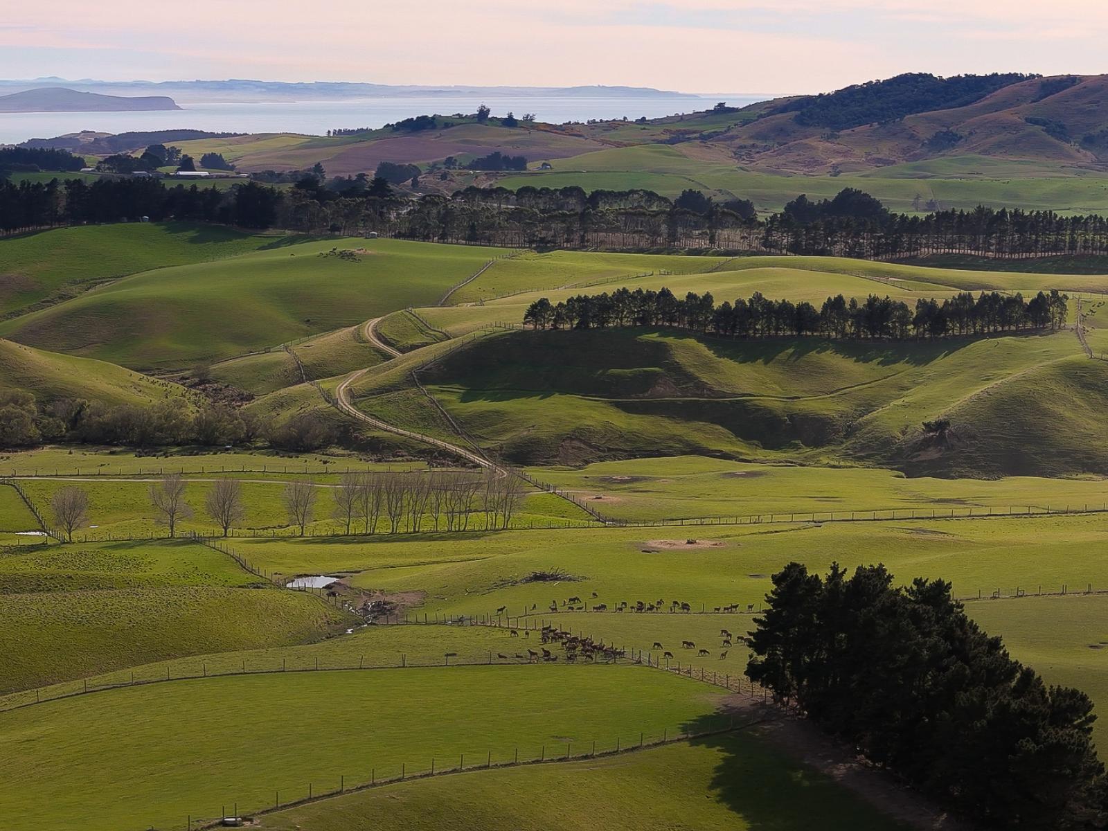 137 McLeods Road, Palmerston
