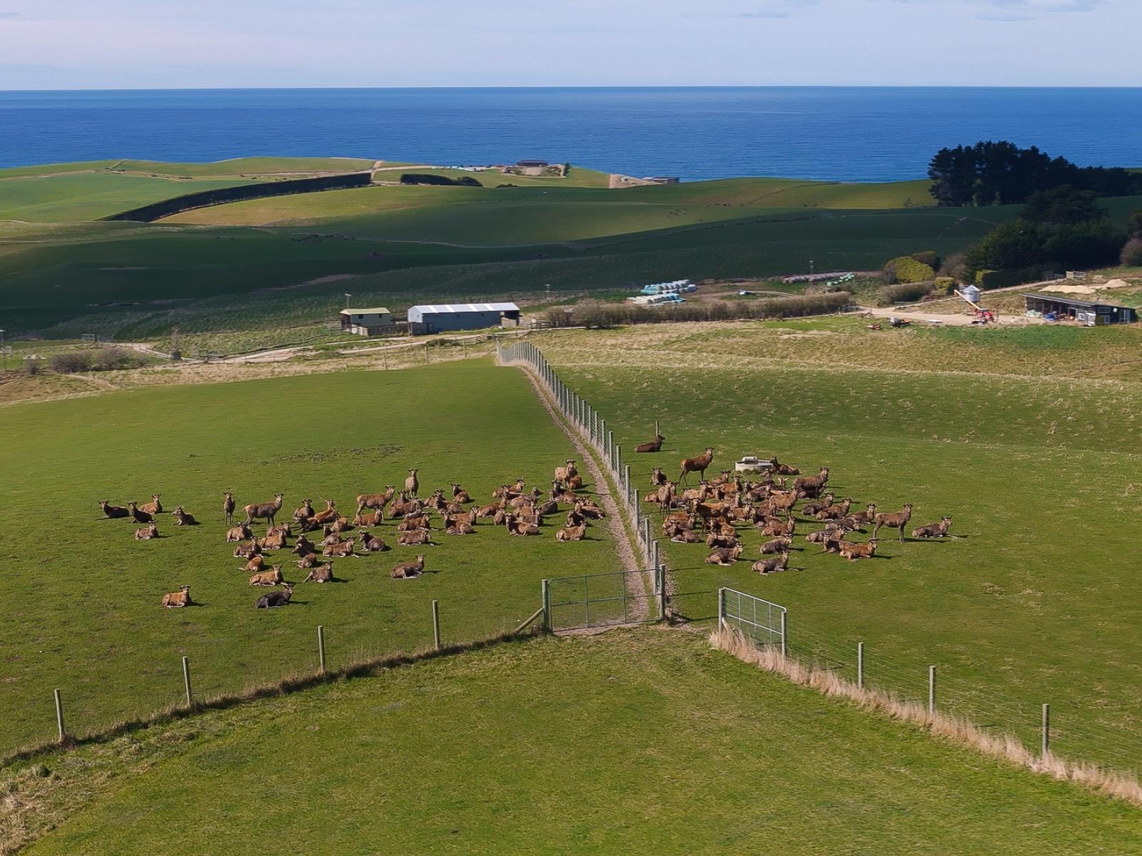 137 McLeods Road, Palmerston