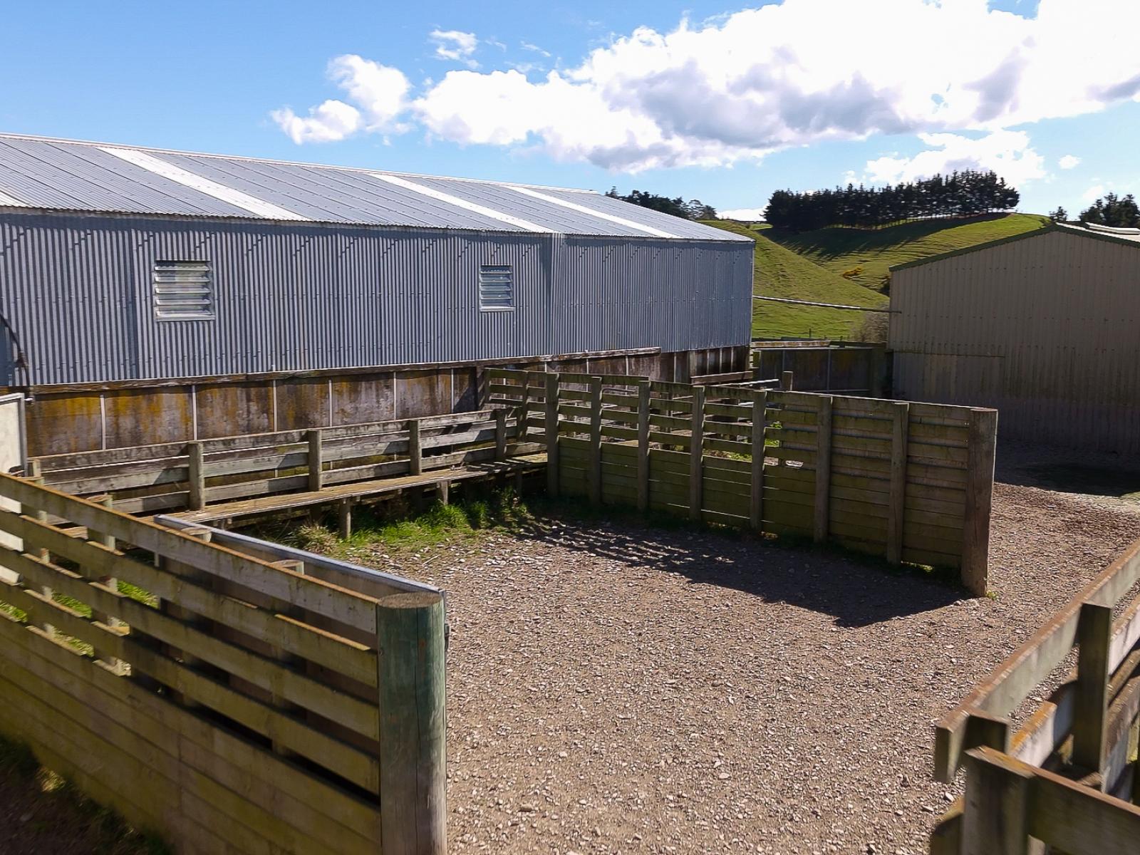 137 McLeods Road, Palmerston
