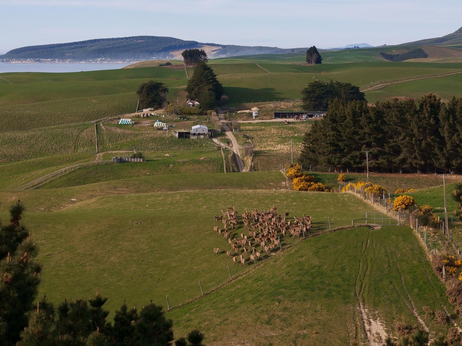 137 McLeods Road, Palmerston