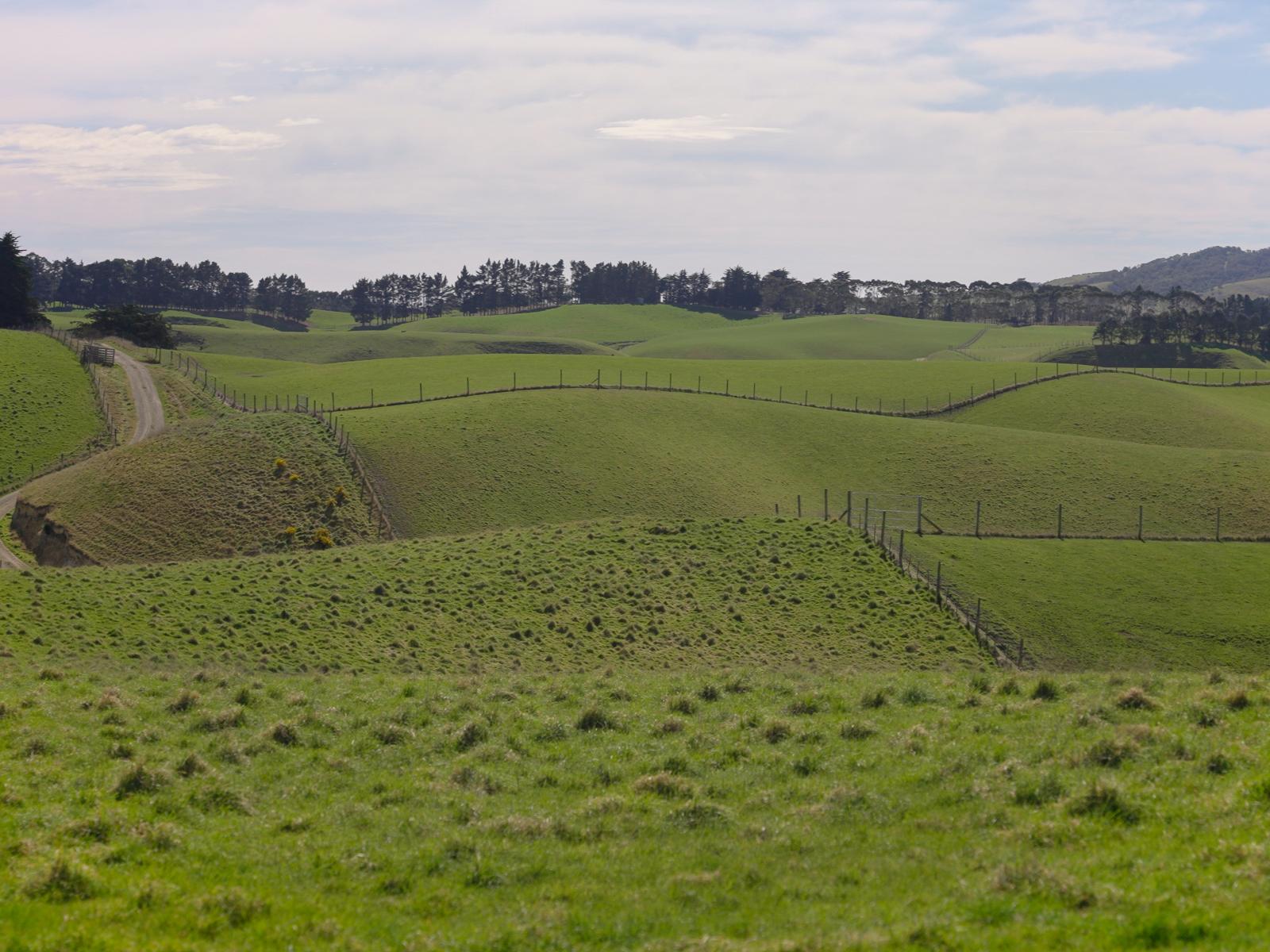 137 McLeods Road, Palmerston