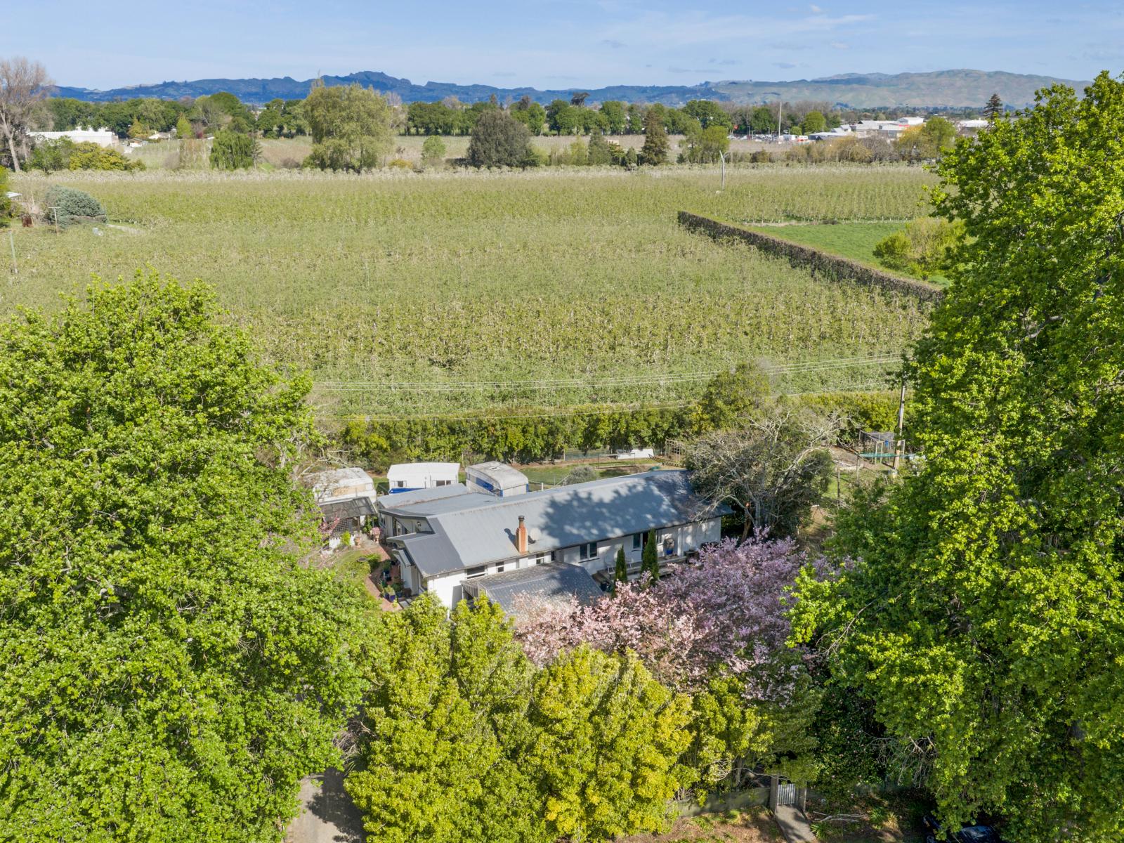 72 Raupare Road, Twyford