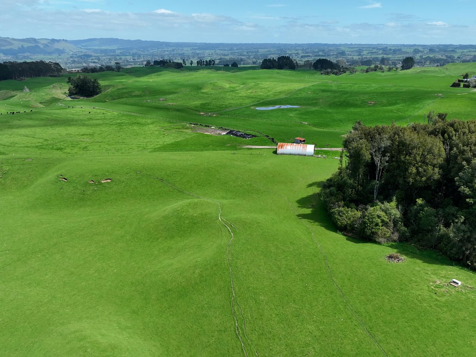517 Te Waerenga Road, Hamurana