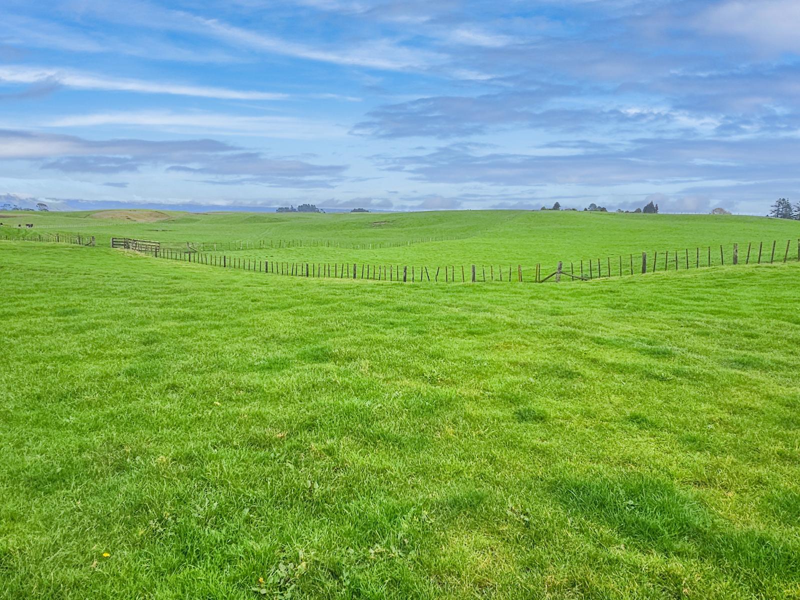 517 Te Waerenga Road, Hamurana