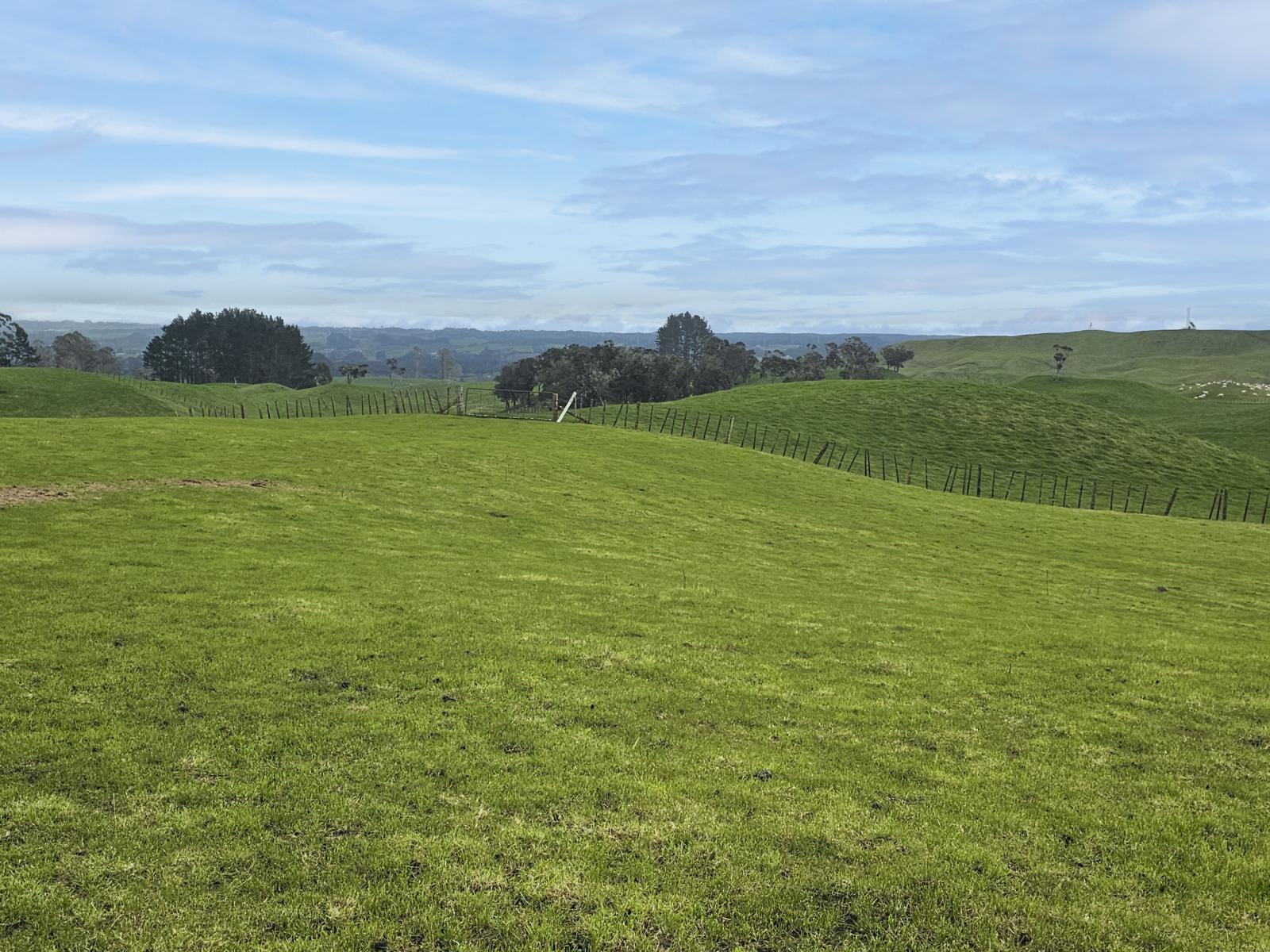 517 Te Waerenga Road, Hamurana