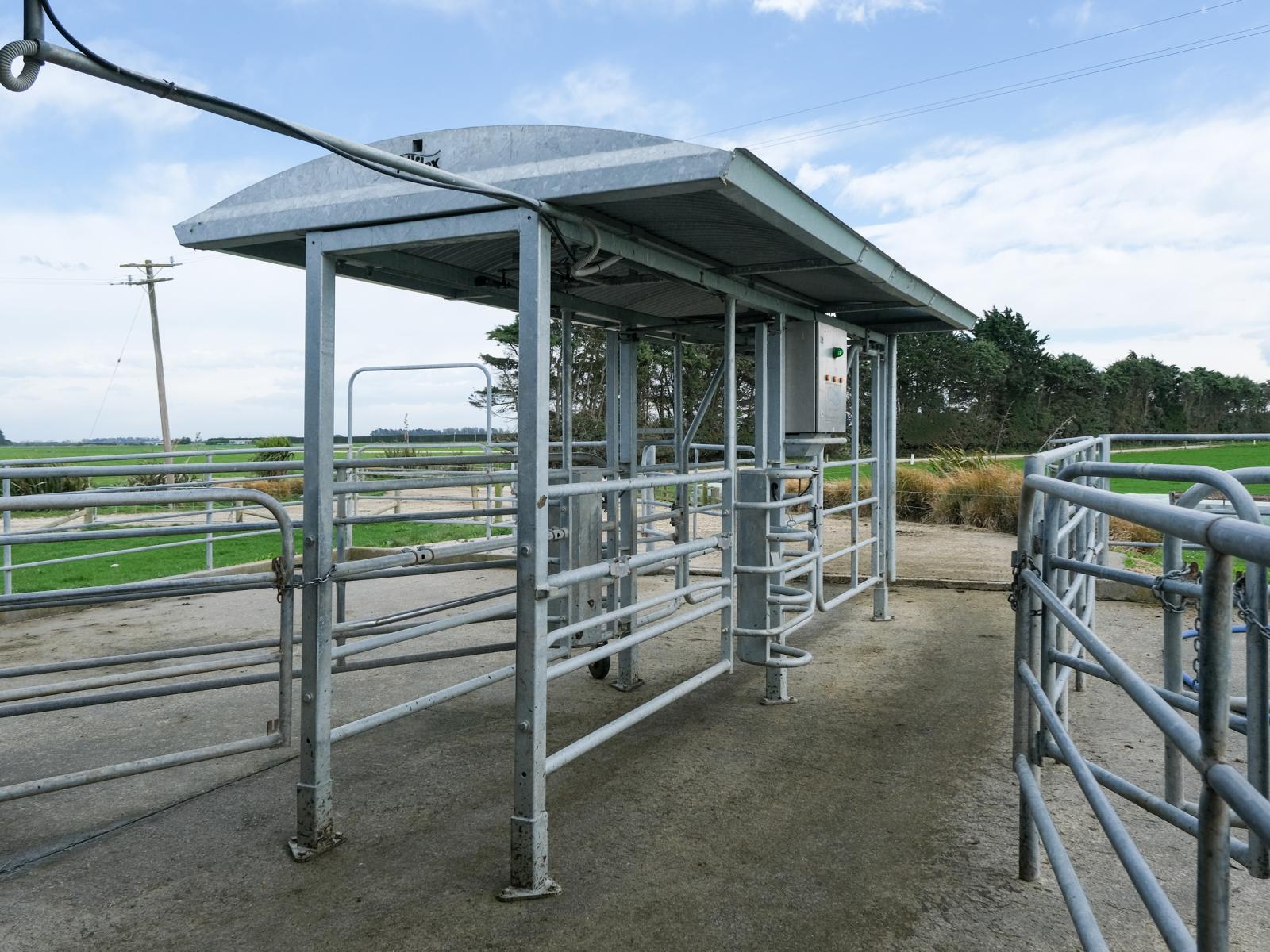 38 Williams Road, Ashburton