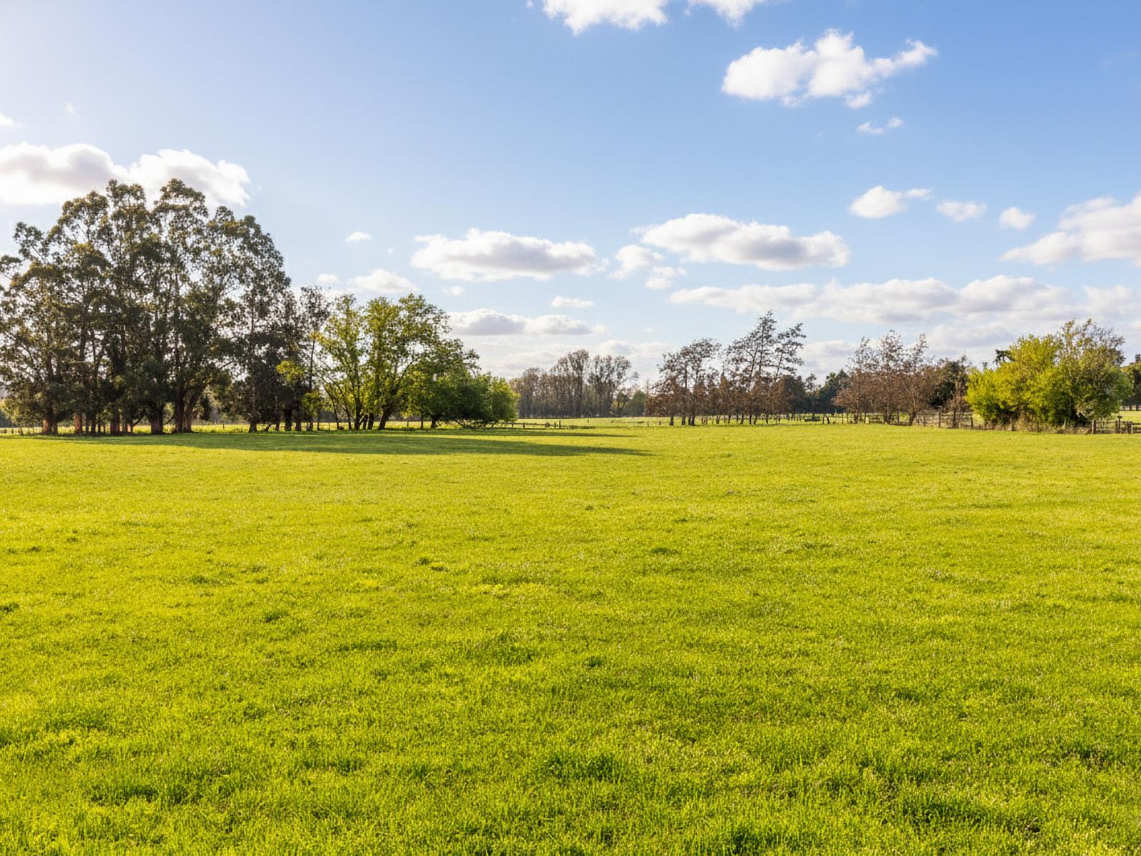 100 Humphries Street - Lifestyle, Greytown
