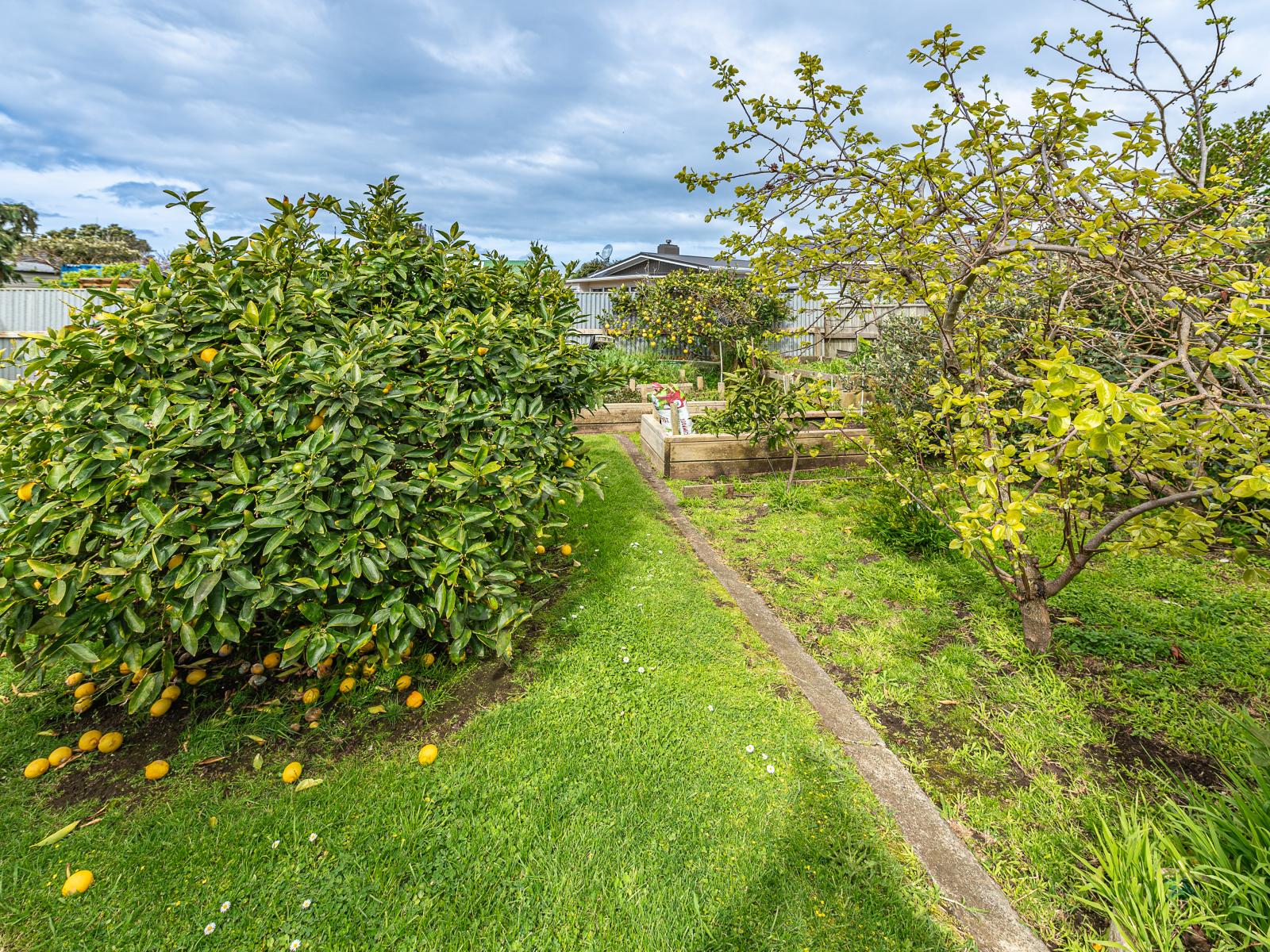 26 Totara Street, Tawhero