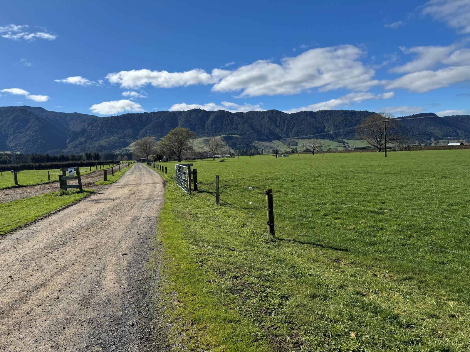 Unit 12, 1212A Tower Road, Matamata