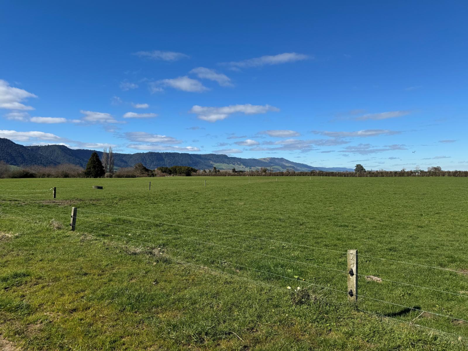 Unit 12, 1212A Tower Road, Matamata