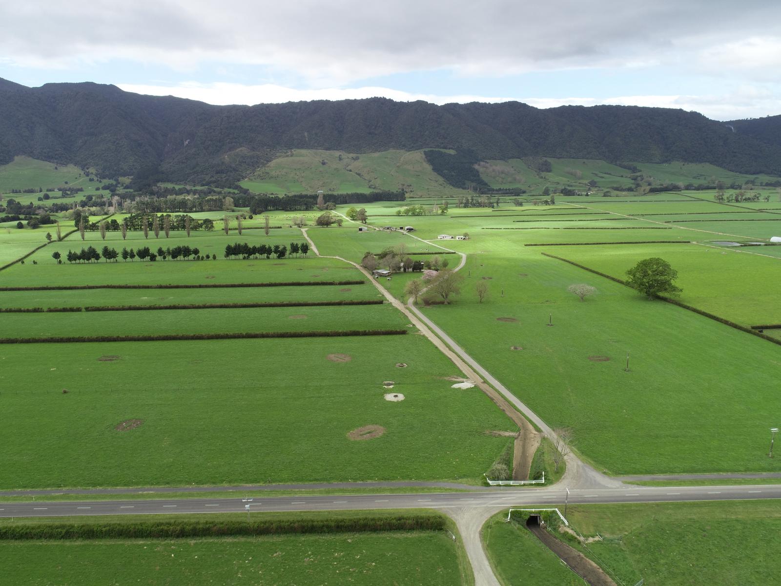 Unit 12, 1212A Tower Road, Matamata