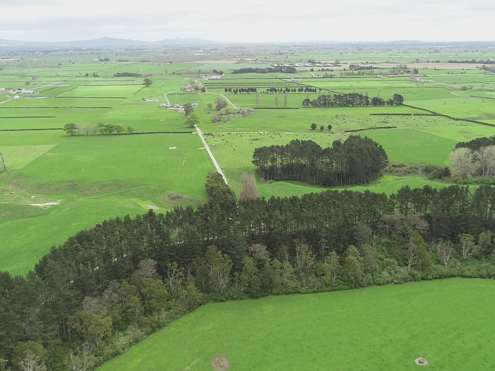 Unit 12, 1212A Tower Road, Matamata