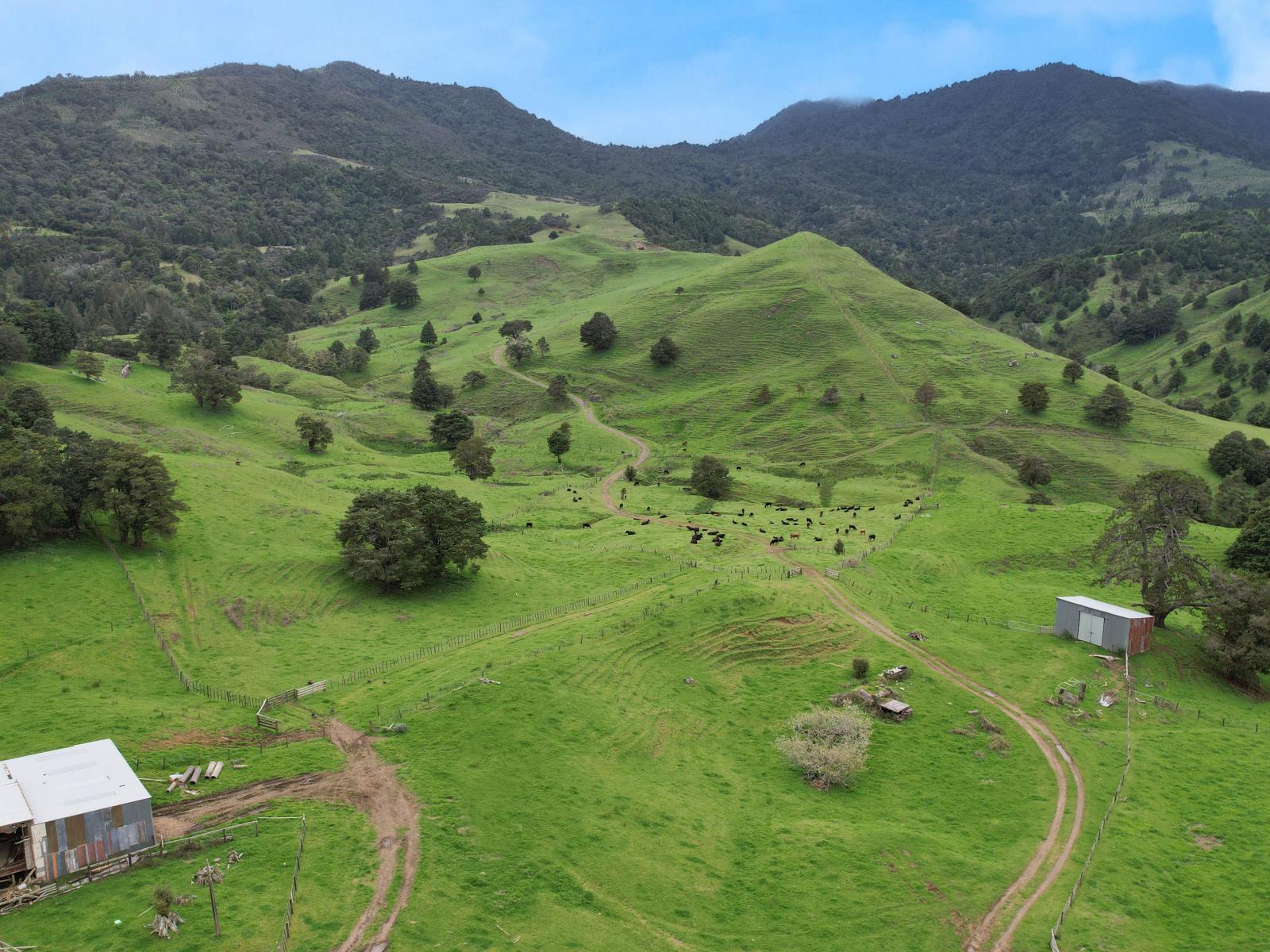 1896 Omana Road, Pukehuia