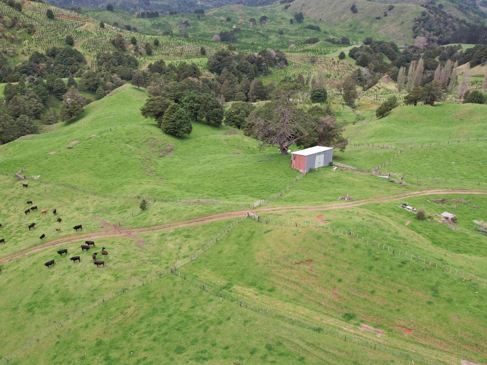 1896 Omana Road, Pukehuia