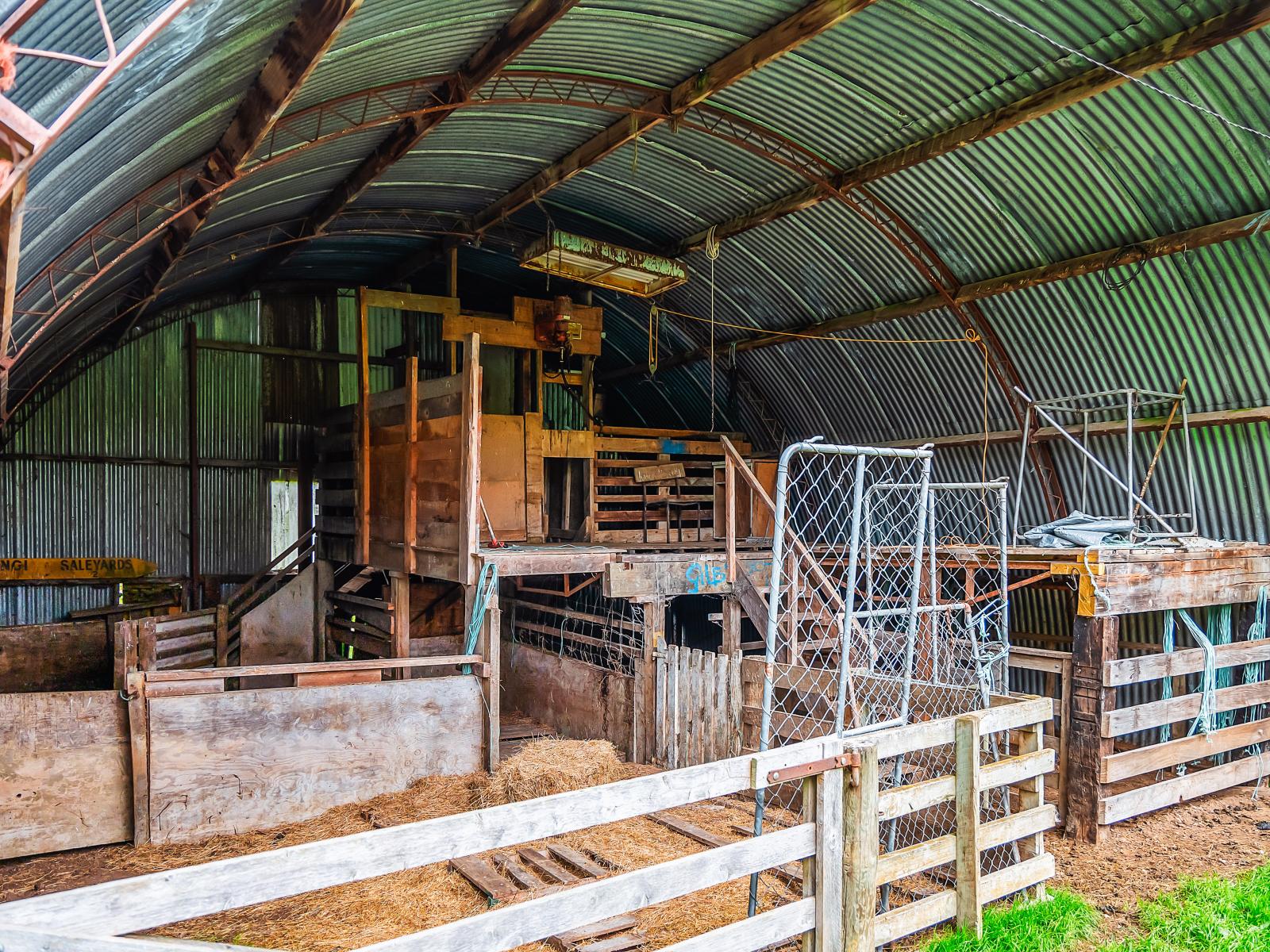 162 Okahukura Saddle Road, Matiere