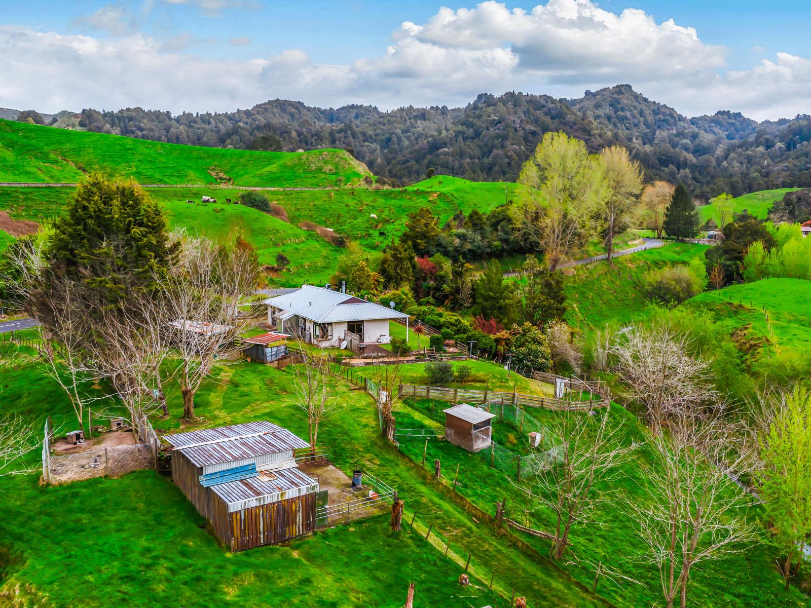 162 Okahukura Saddle Road, Matiere
